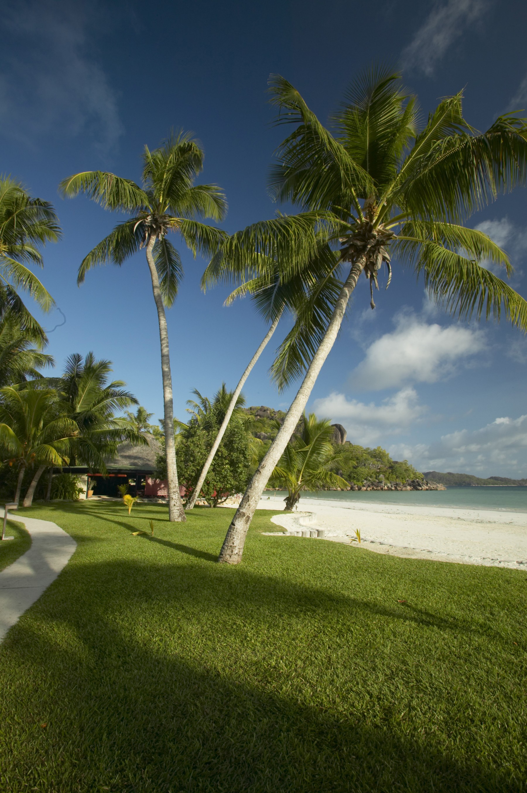 Paradise Sun